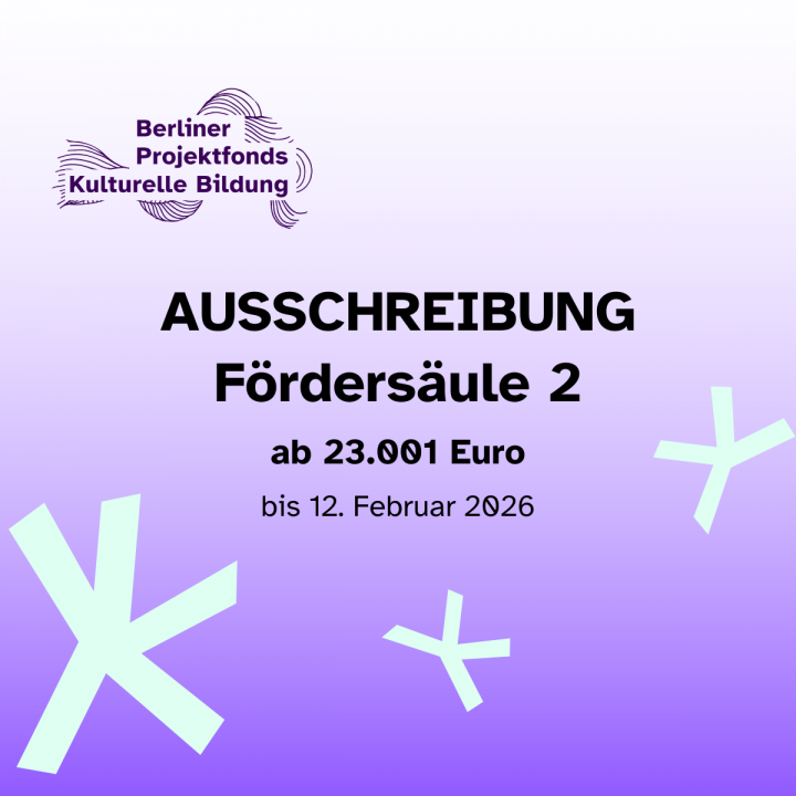 Text in Bild: Ausschreibung Fördersäule 2 ab 23001 € bis 12. Februar 2026